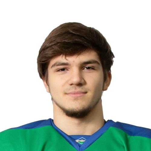Аглиуллин Салим Динарович