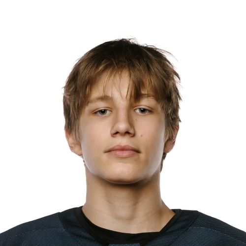 Романов Егор Артемович