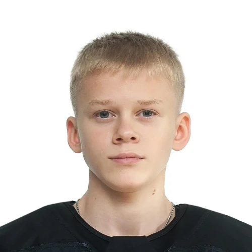 Шалин Никита Викторович