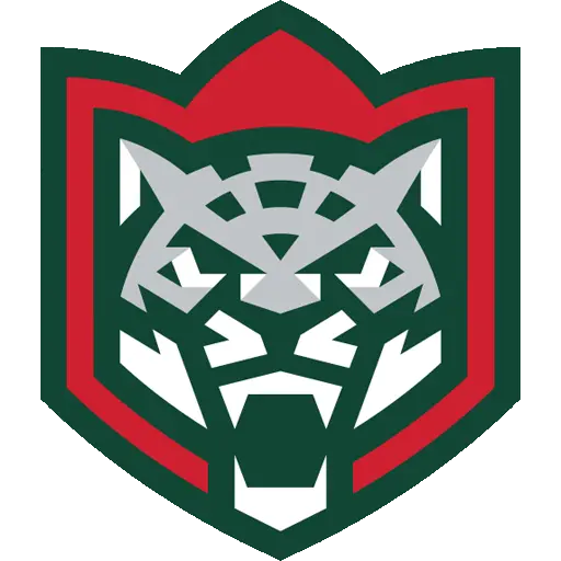 Ак Барс
