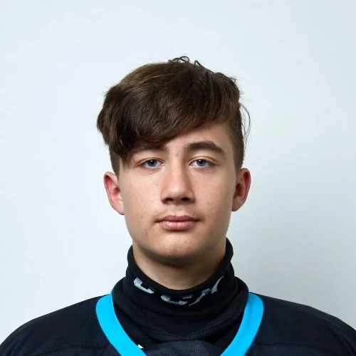 Ларочкин Даниил Артемович
