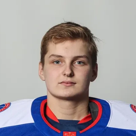 Везикко Дмитрий Иванович
