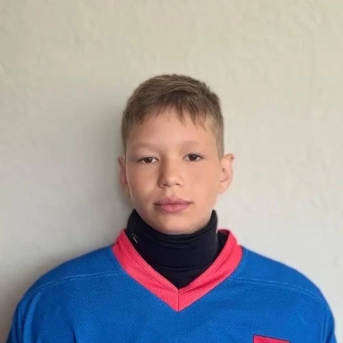Ильин Дмитрий Викторович