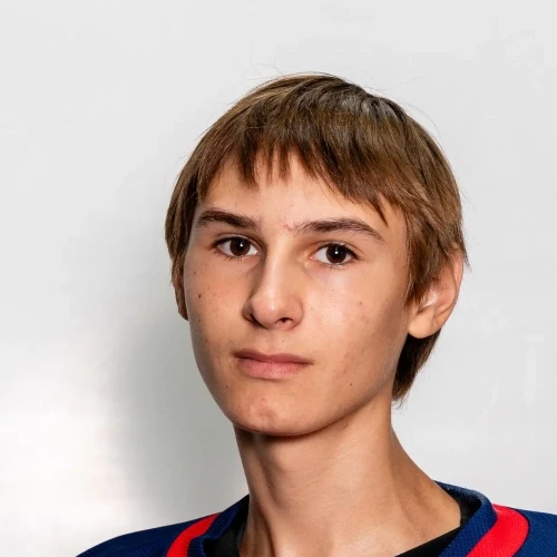 Орлик Александр Васильевич