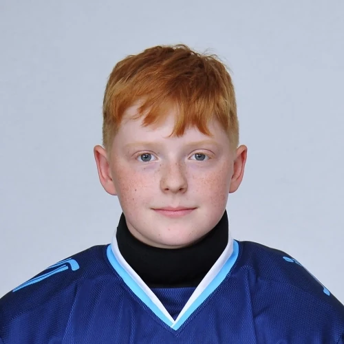 Моисеев Дмитрий Дмитриевич