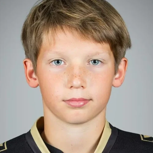 Челушкин Марк Алексеевич