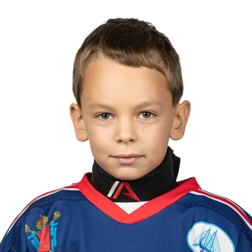Воробьев Мирон Федорович