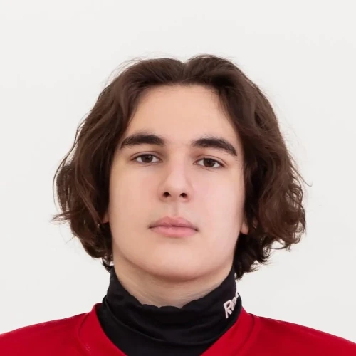 Прокофьев Тимофей Константинович