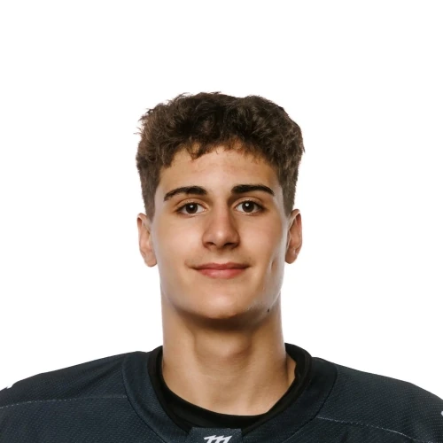 Драй Роман Александрович