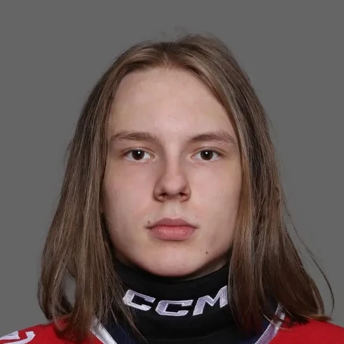 Алексеев Дмитрий Павлович