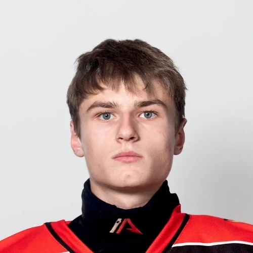 Ситников Алексей Сергеевич