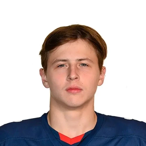 Лекомцев Арсений Денисович