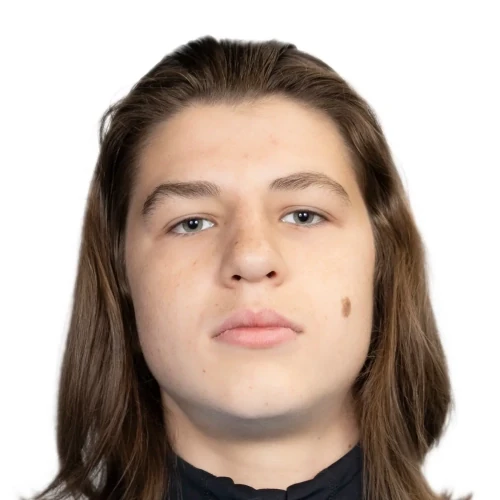 Медлярский Ян Витальевич
