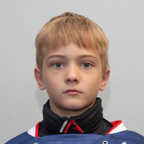 Верменский Далимир Сергеевич
