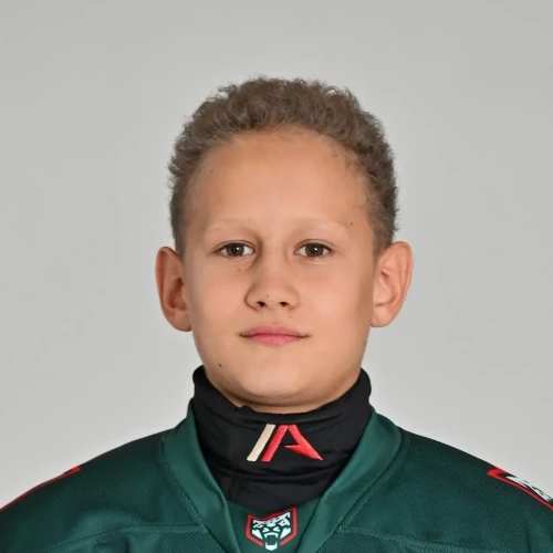 Ибатуллин Амир Ильнарович