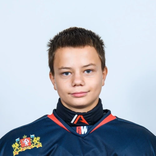 Соснин Святослав Алексеевич
