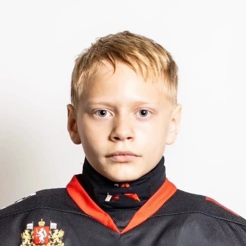 Зародин Роман Михайлович