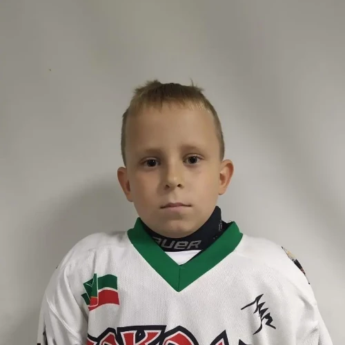 Шмелев Александр Романович