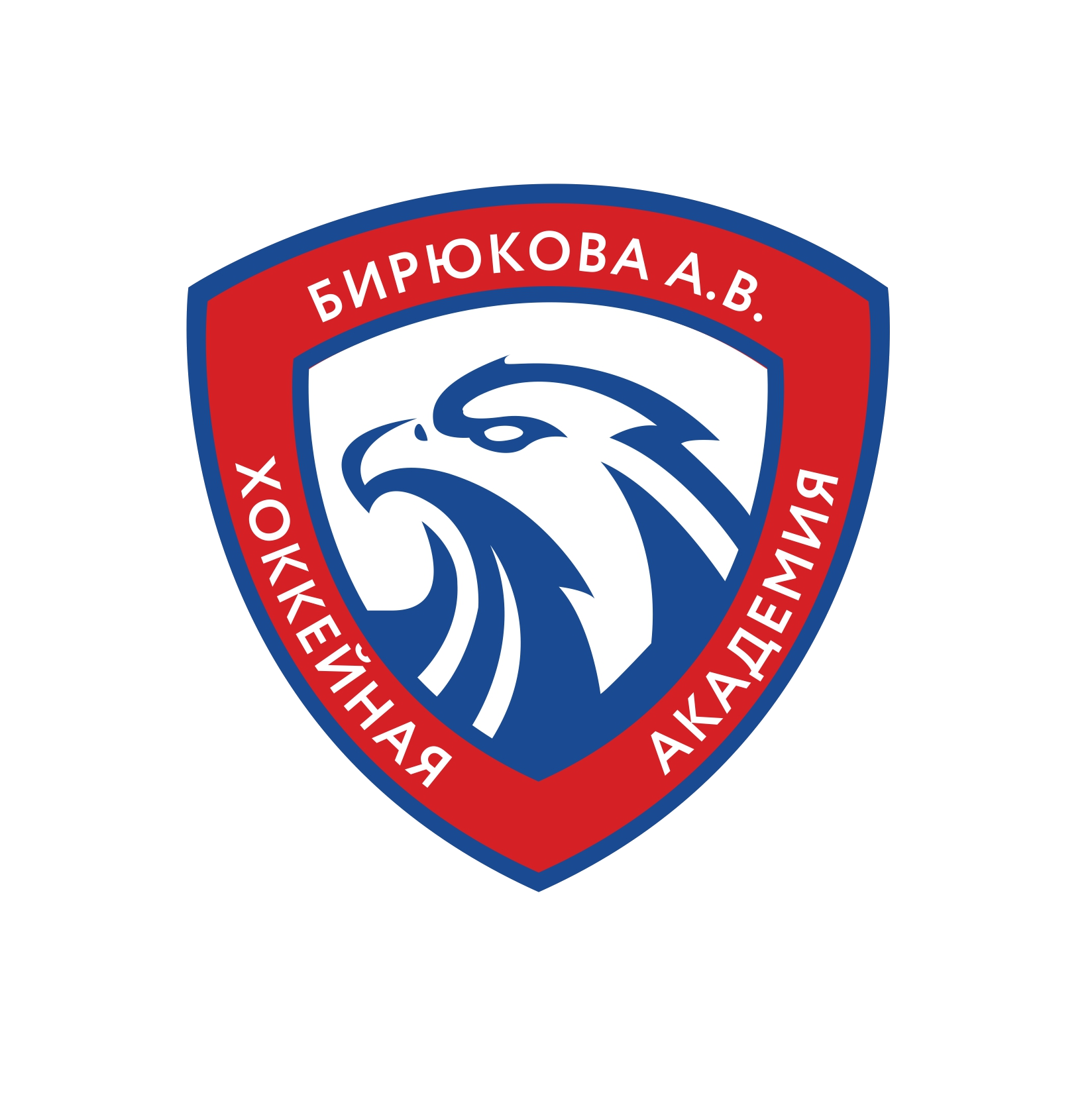 Академия Бирюкова