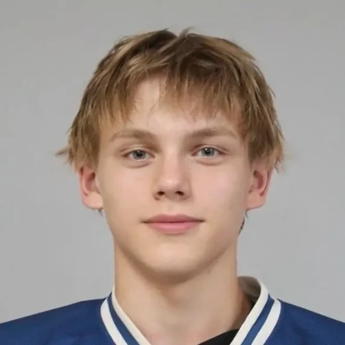 Грудинский Арсений Александрович