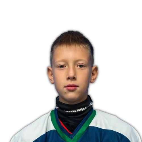 Янин Максим Владимирович