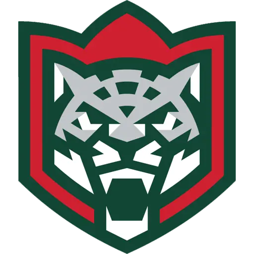 Ак Барс