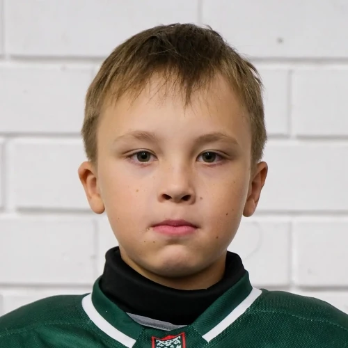 Никушин Роман Леонидович