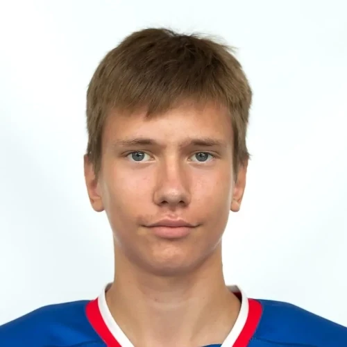 Семин Николай Ильич