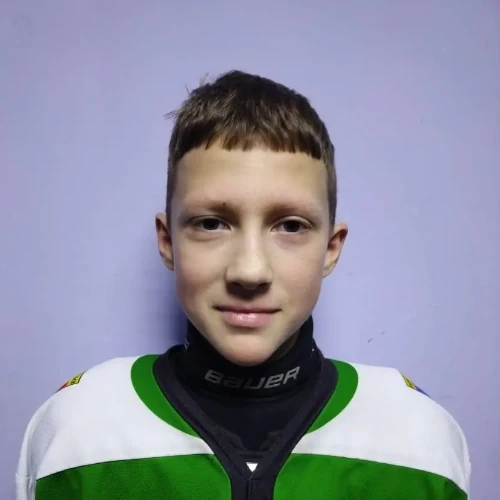 Левин Дмитрий Владимирович
