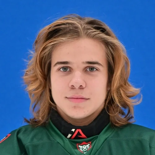 Груздев Арсений Александрович