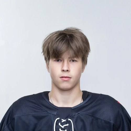 Николаев Михаил Игоревич