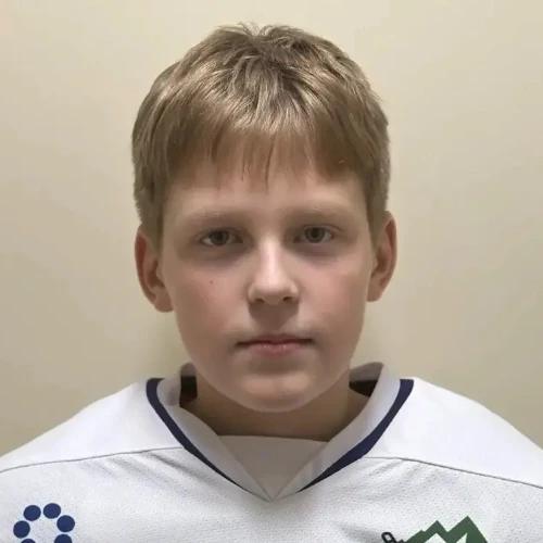 Пузанов Иван Сергеевич