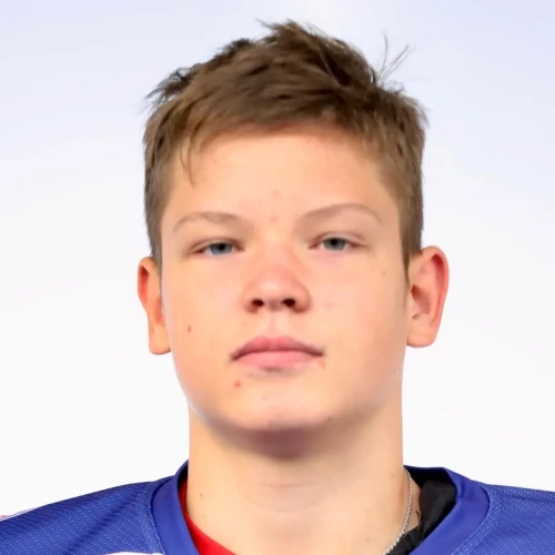 Роговцев Михаил Витальевич