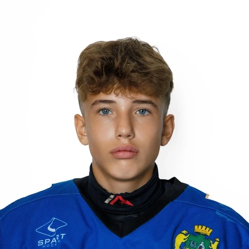 Медянцев Дмитрий Дмитриевич