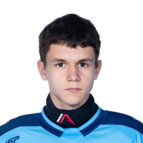 Тепляков Дмитрий Алексеевич