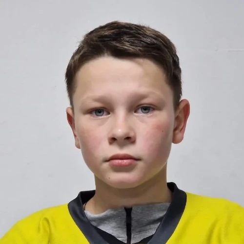 Воротынцев Артём Никитич