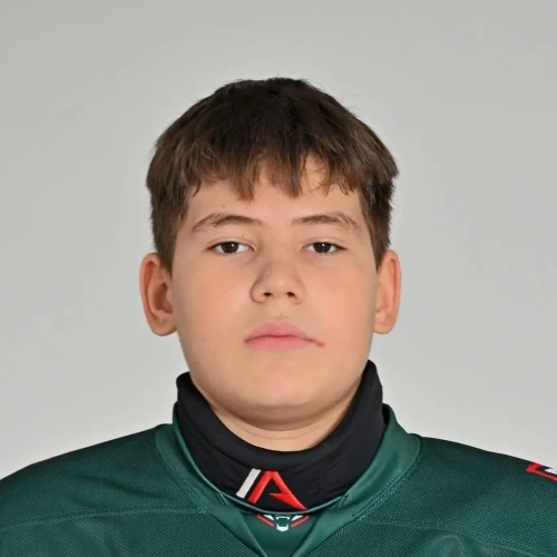 Шарифуллин Амир Марселевич