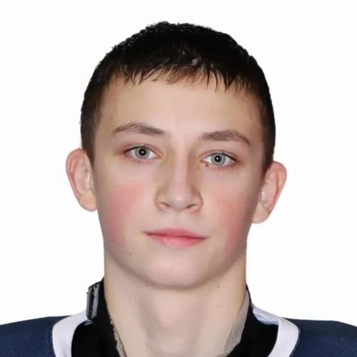 Лаптихин Арсений Андреевич