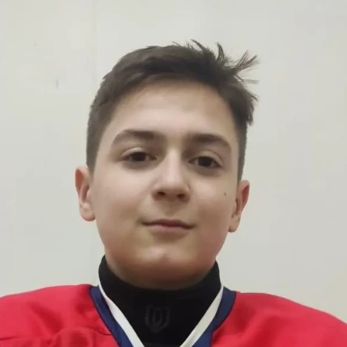 Хайретдинов Даниил Радиславович