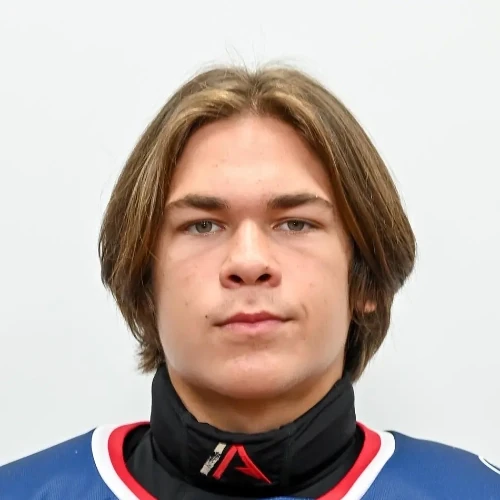 Шалин Никита Александрович