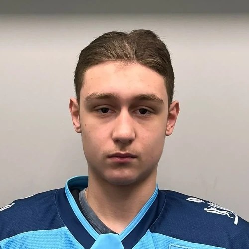 Столарев Тимур Николаевич