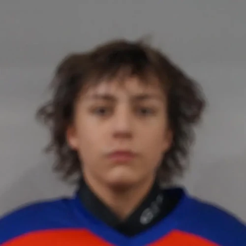 Николайченко Дмитрий Игоревич