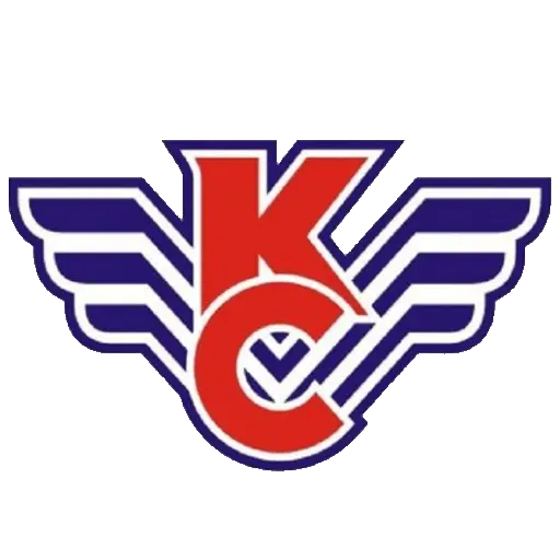 Крылья Советов