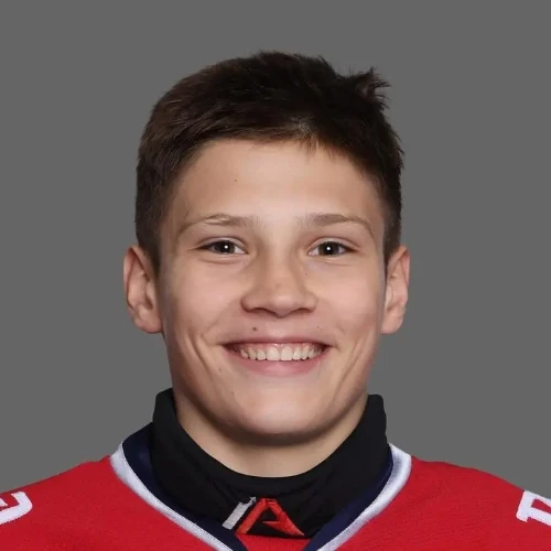 Колесников Николай Дмитриевич