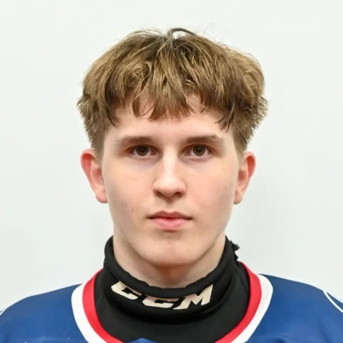 Лознов Григорий Александрович