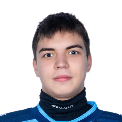 Данилин Владислав Евгеньевич