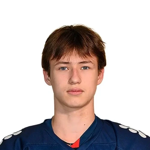 Калинин Егор Игоревич