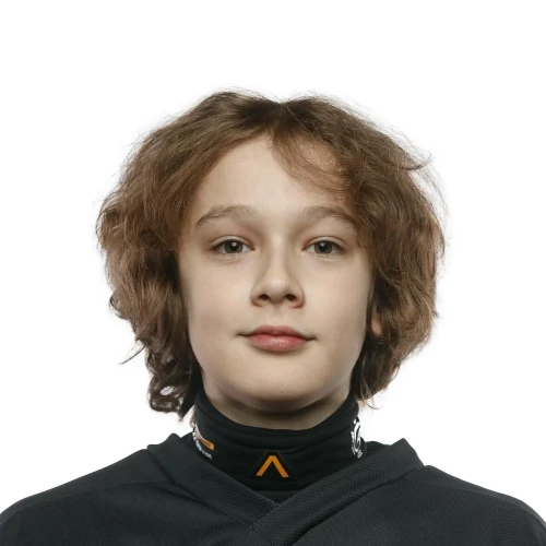 Софьин Леон Алексеевич