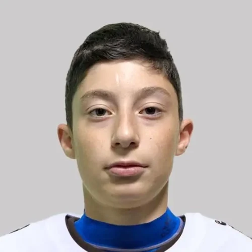 Гаспарян Давид Хачикович