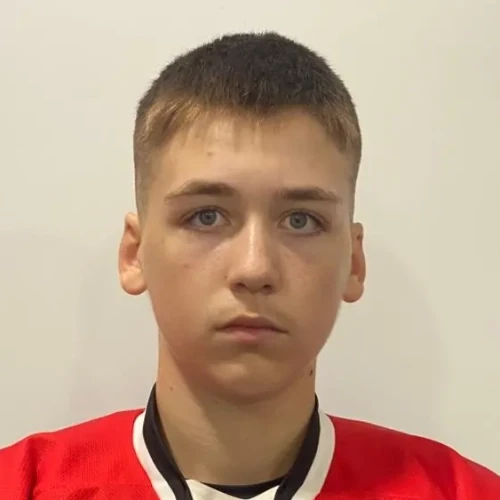 Родькин Кирилл Николаевич